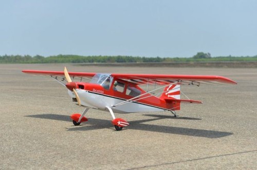 Black horse bellanca decathlon - black,