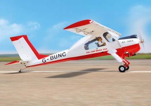 Black horse wilga pzl - horse, pzl-104